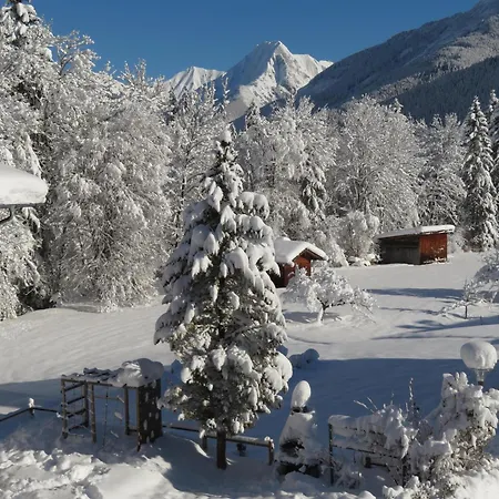 Haus Brandhofer Διαμέρισμα Häselgehr