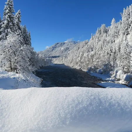 Haus Brandhofer Διαμέρισμα Häselgehr