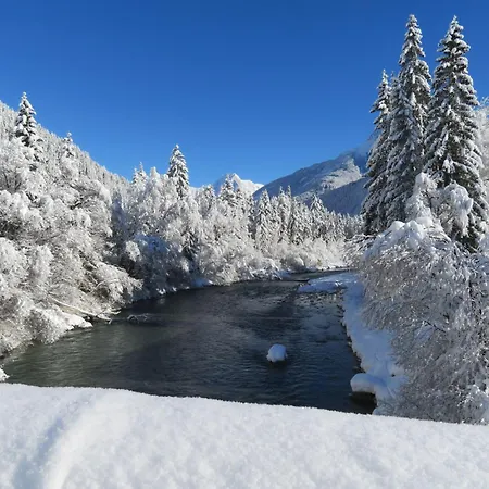 Haus Brandhofer Διαμέρισμα *