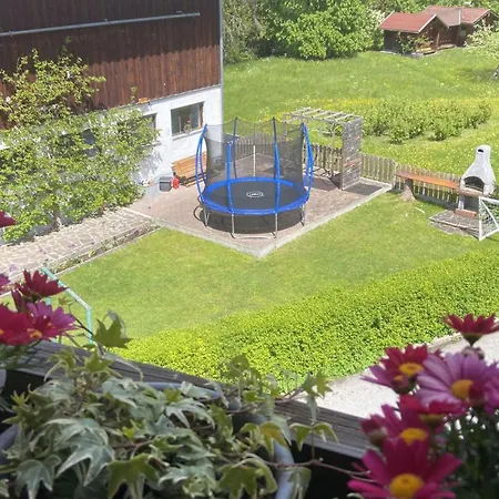 Haus Brandhofer アパート Häselgehr